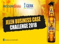 Jelen Business Case Challenge 2018